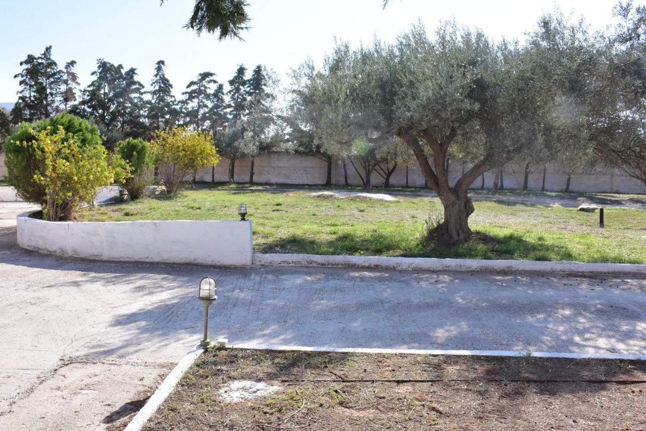 מלון Kalivia Thorikou Cozy Country House מראה חיצוני תמונה